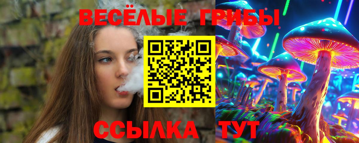 Псилоцибиновые грибы GOLDEN TEACHER Кунгур