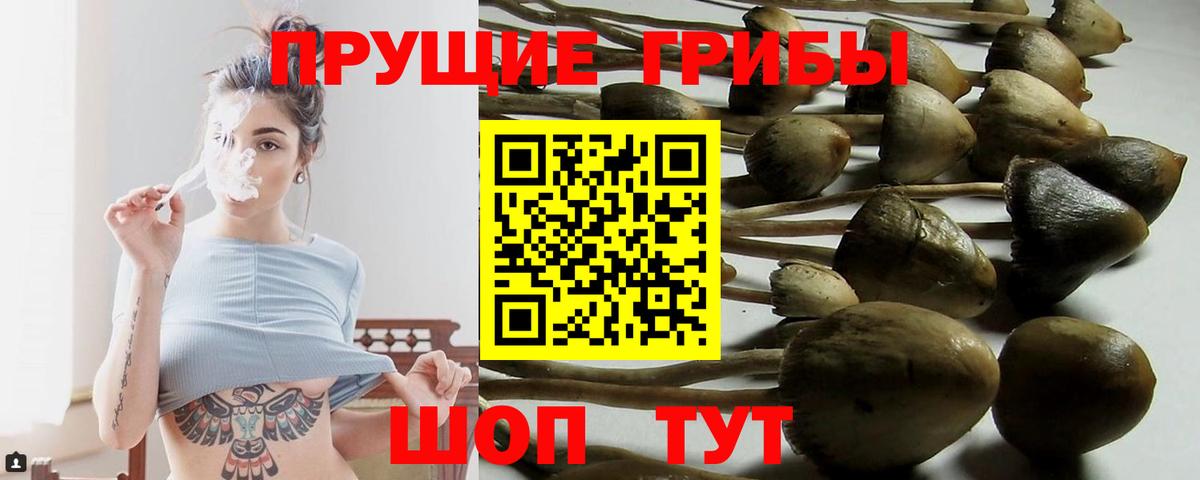 Кунгур  Галлюциногенные грибы прущие грибы  Вход с VPN  Псилоцибиновые грибы Magic Shrooms 